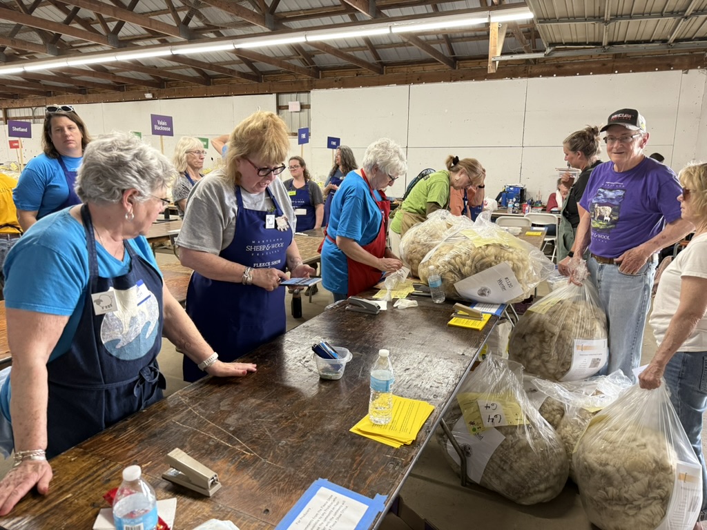 Fleece Show & Sale