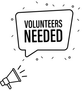 Festival Volunteer