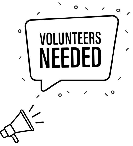 Festival Volunteer