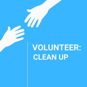 Clean Up