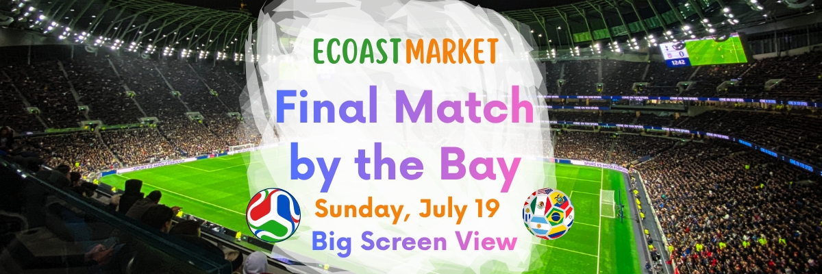 Final de Futbol en Margaret Park