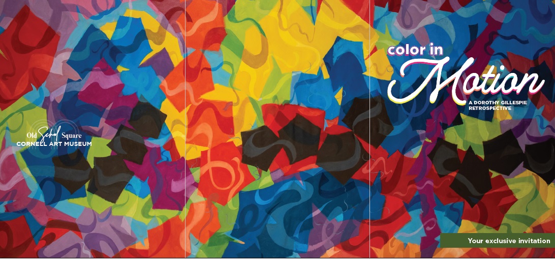 Dorothy Gillespie Color in Motion VIP Event