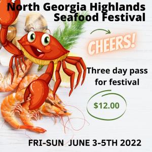 THREE DAY FESTIVAL PASS 2022 cover picture