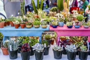 Vendor Application