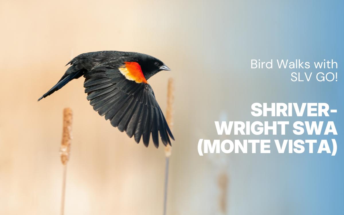 Bird Walks with SLV GO! - Shriver-Wright SWA cover picture