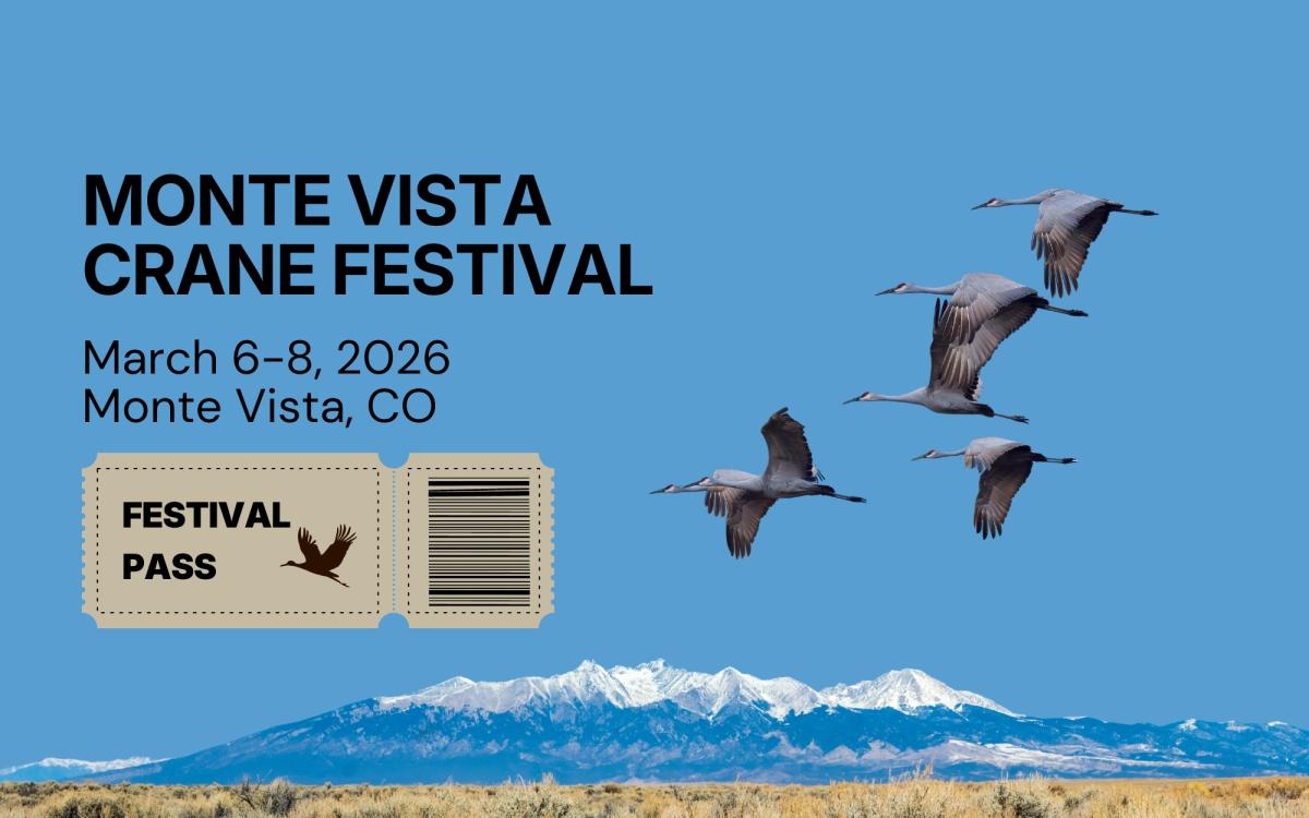 Festival Pass &ndash; General Admission cover picture
