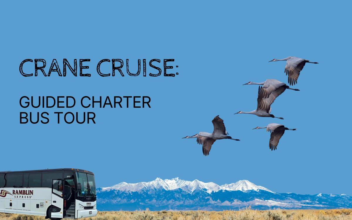 Crane Cruise: Guided Charter Bus Tour cover picture