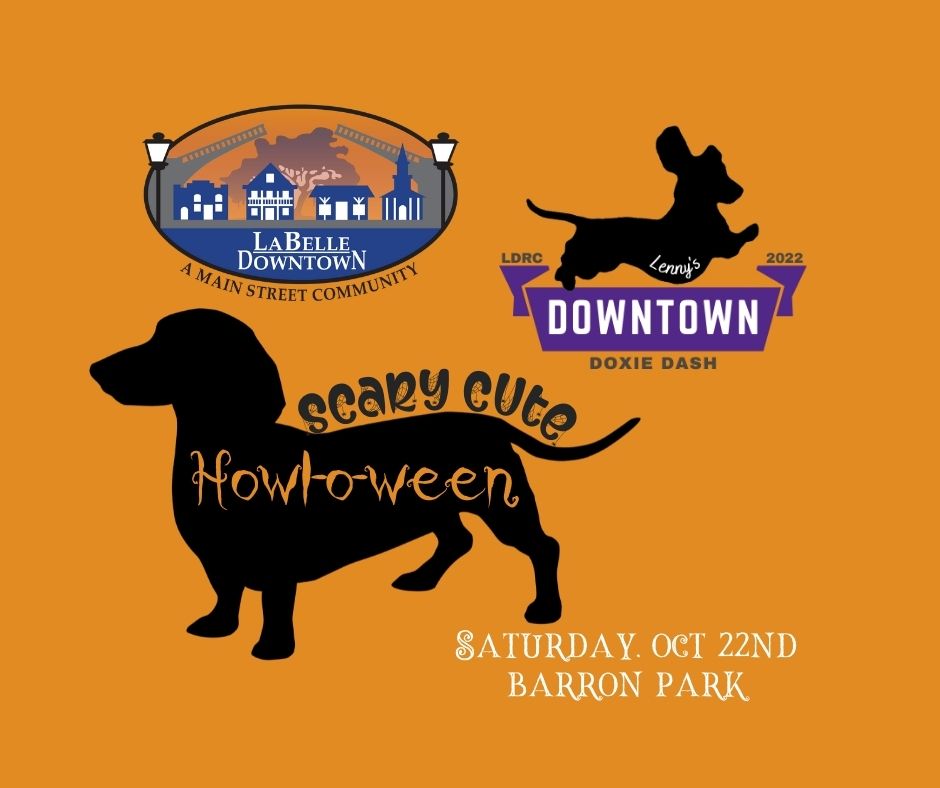 HowlOWeen/Downtown Doxie Dash 2022 cover image