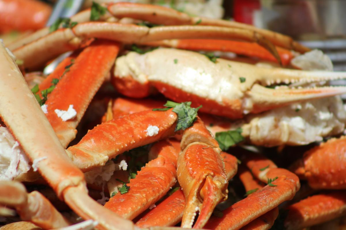 St. Augustine Lions Seafood Festival