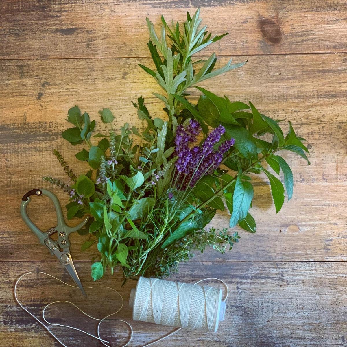 How to Grow Your Own Tea Garden WORKSHOP w/Megan Wakefield