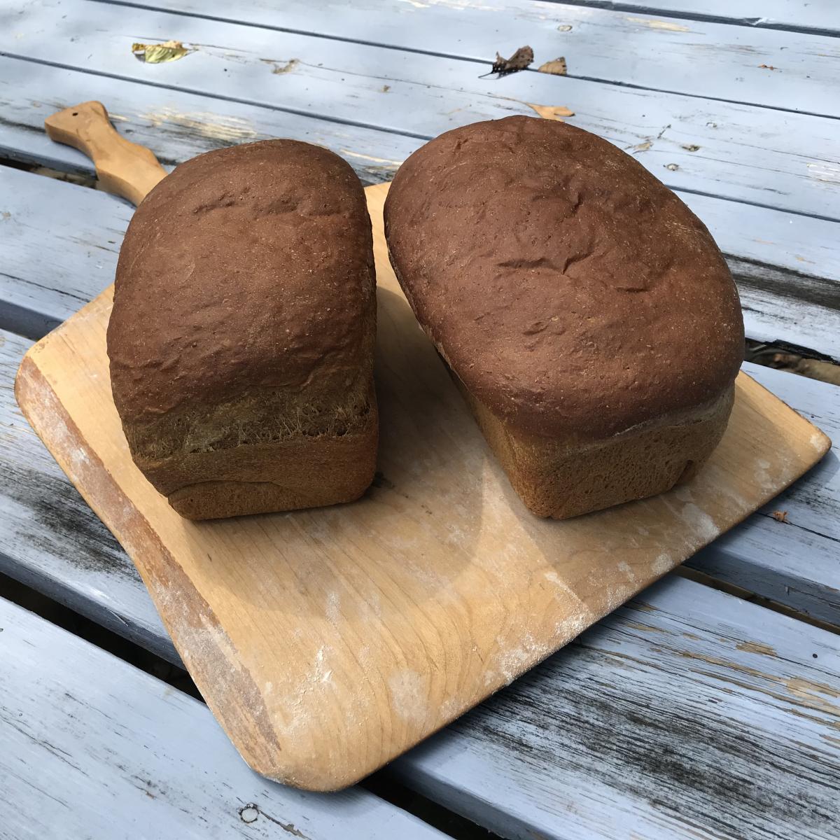 Knead, Shape, Bake: Oatmeal Molasses WORKSHOP w/Jerry Bond