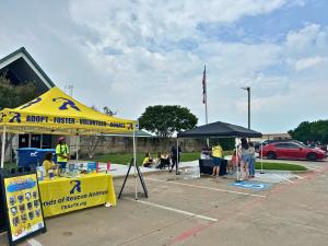 Non-Profit Organization  Activity Booth