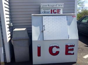 ICE Sponsor