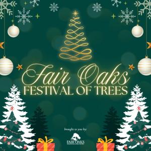 Entry - Festival of Trees