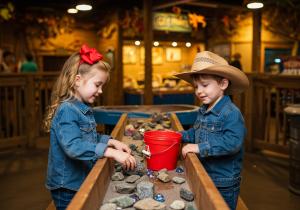 Gem Sluice-Rough Stone Bucket cover picture