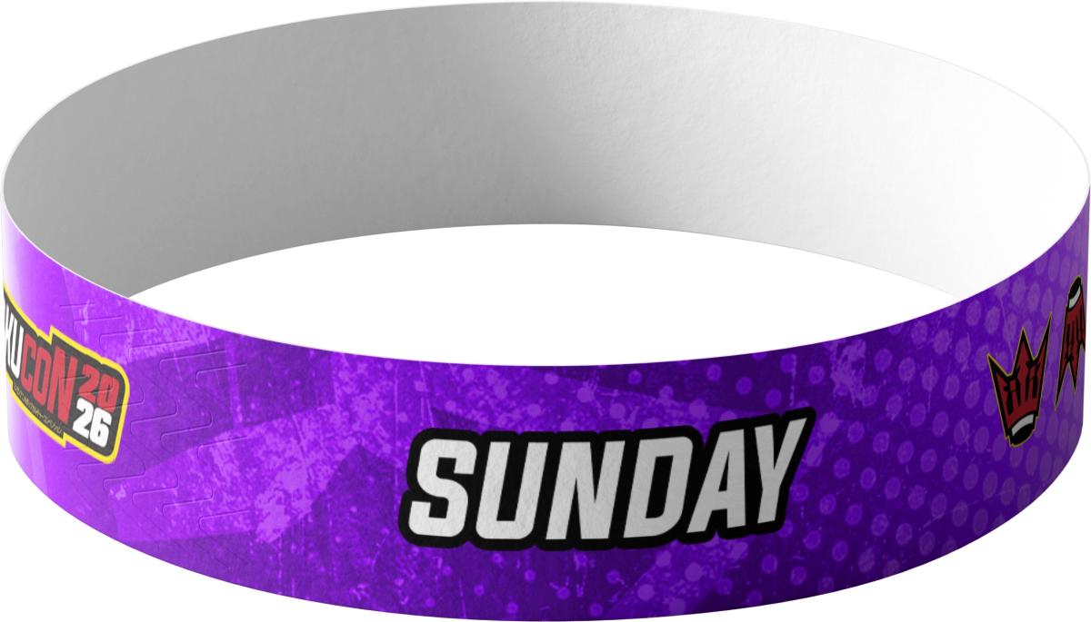 Sunday Single Day Wristband cover picture