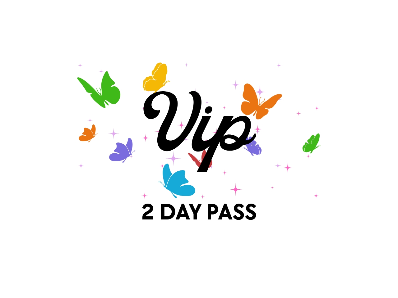 VIP 2 Day Pass cover picture