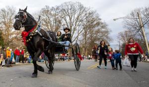 Horse Entry