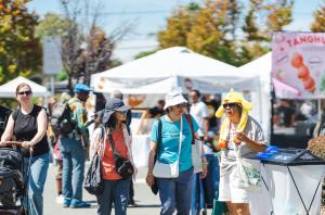 Food and Food Truck Vendors