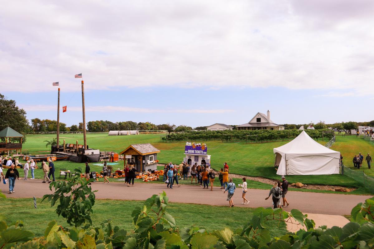 2022 Grape Stomp Festival