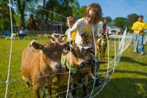 2026 Super Dill Sponsorship