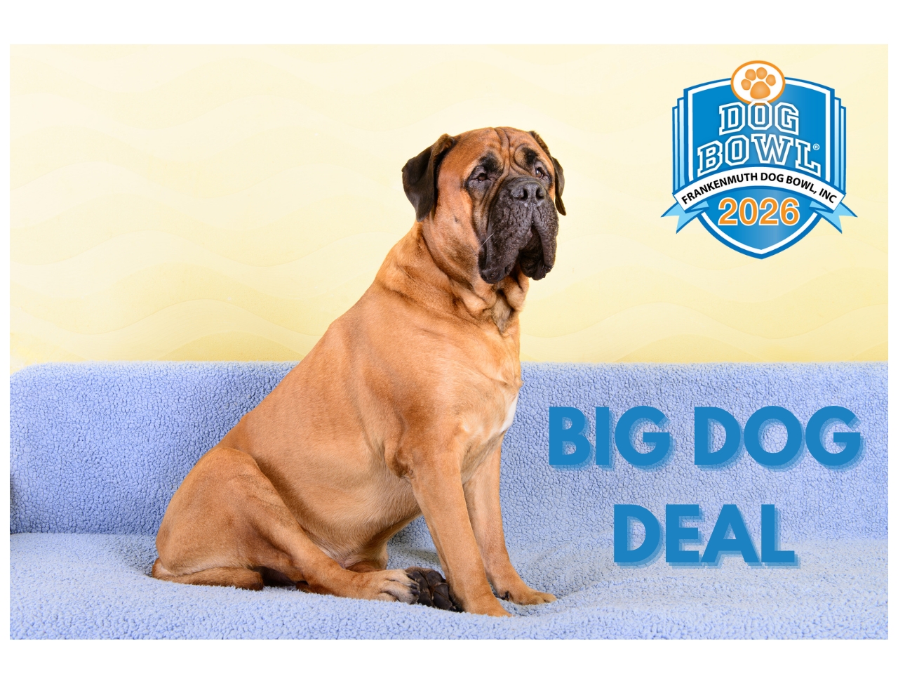 The Big Dog Deal! SUNDAY ONLY cover picture