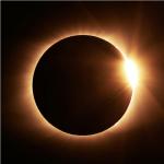 AVA Collective Eclipse Market at Resurgence Brewing Company!