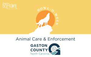 $30 | Gaston County Animal Control & Enforcement Donation cover picture