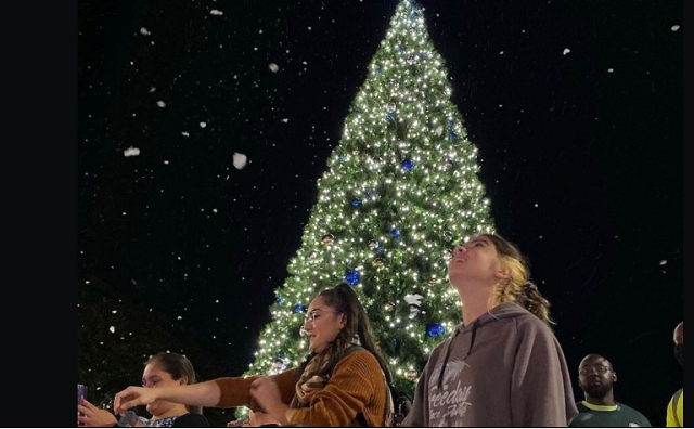 2023 Holiday Tree Lighting cover image