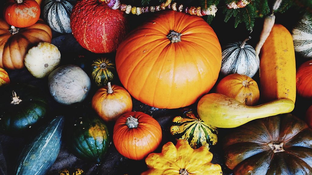 Harvest Festival *TEST*