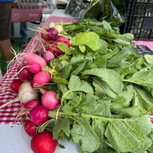 Grower - Winter Market 2026