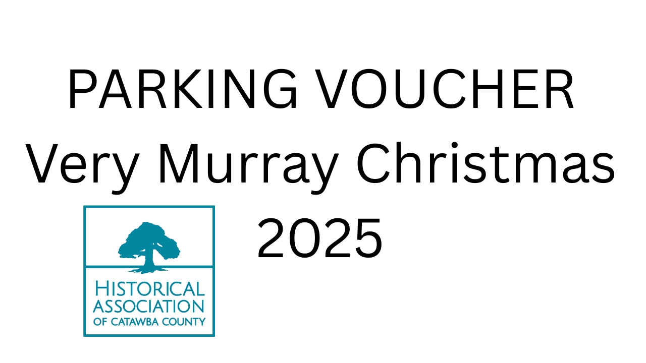 Very Murray Christmas Parking 2025 cover picture