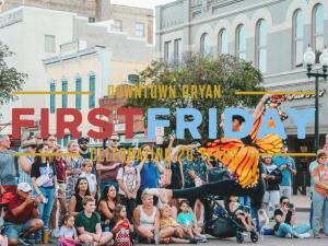 Musician/Performer Partnership Application