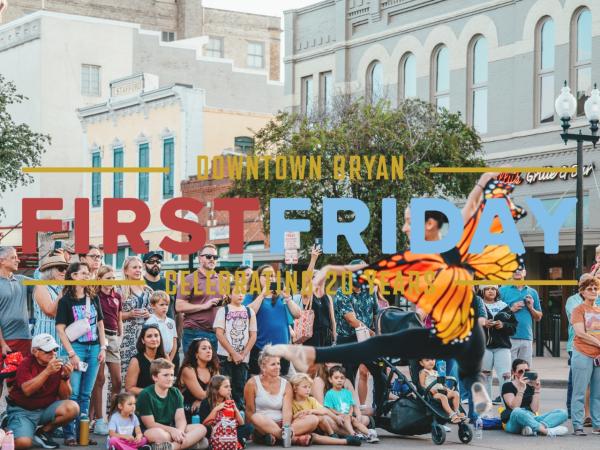 Musician/Performer Partnership Application