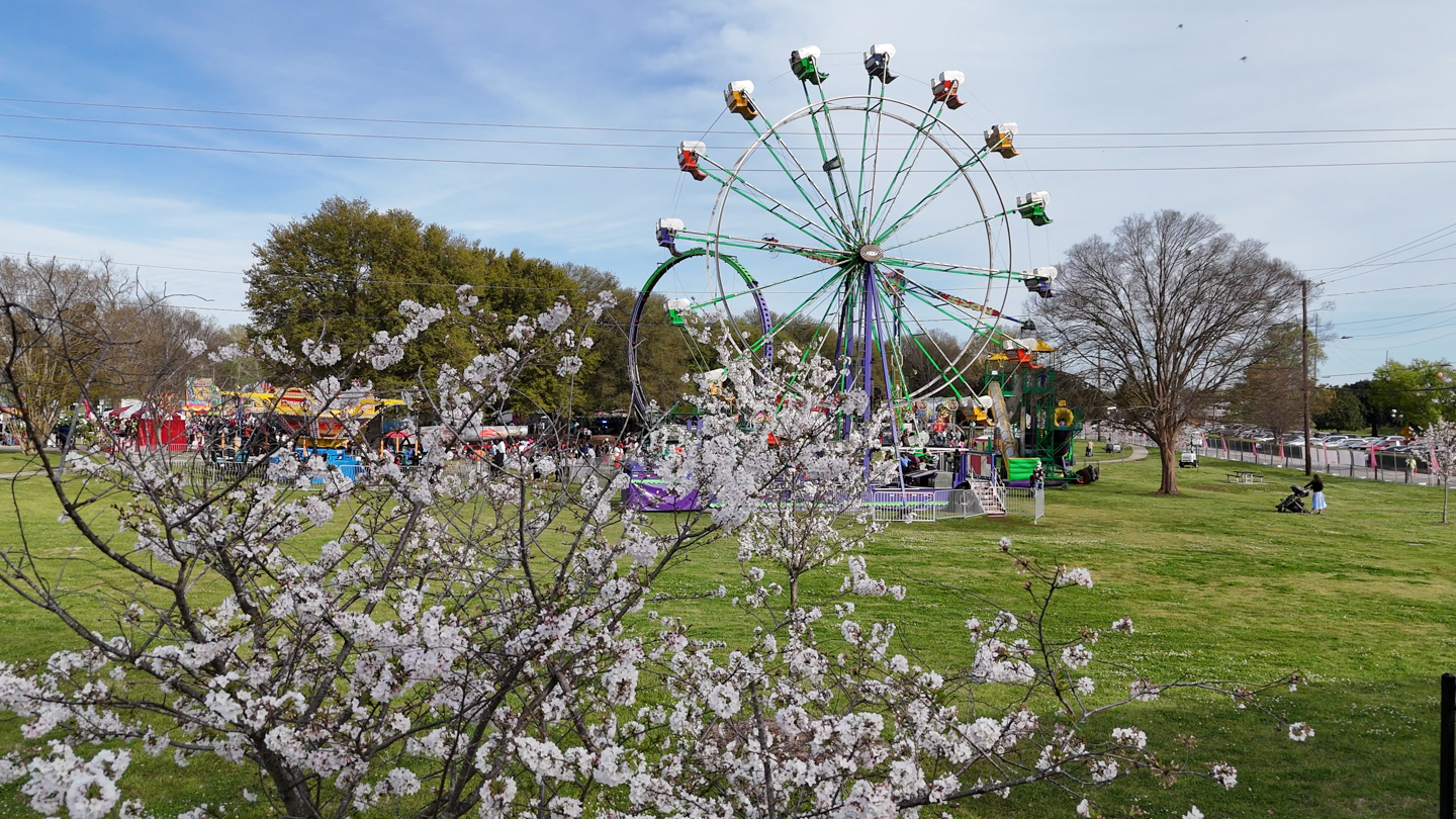 2026 Cherry Blossom Festival Group Tickets