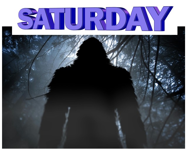 Saturday Only Pass Adult 12+ (July 18, 2026) cover picture