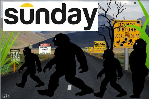 Sunday Only Pass Adult 12+ (July 19, 2026) cover picture