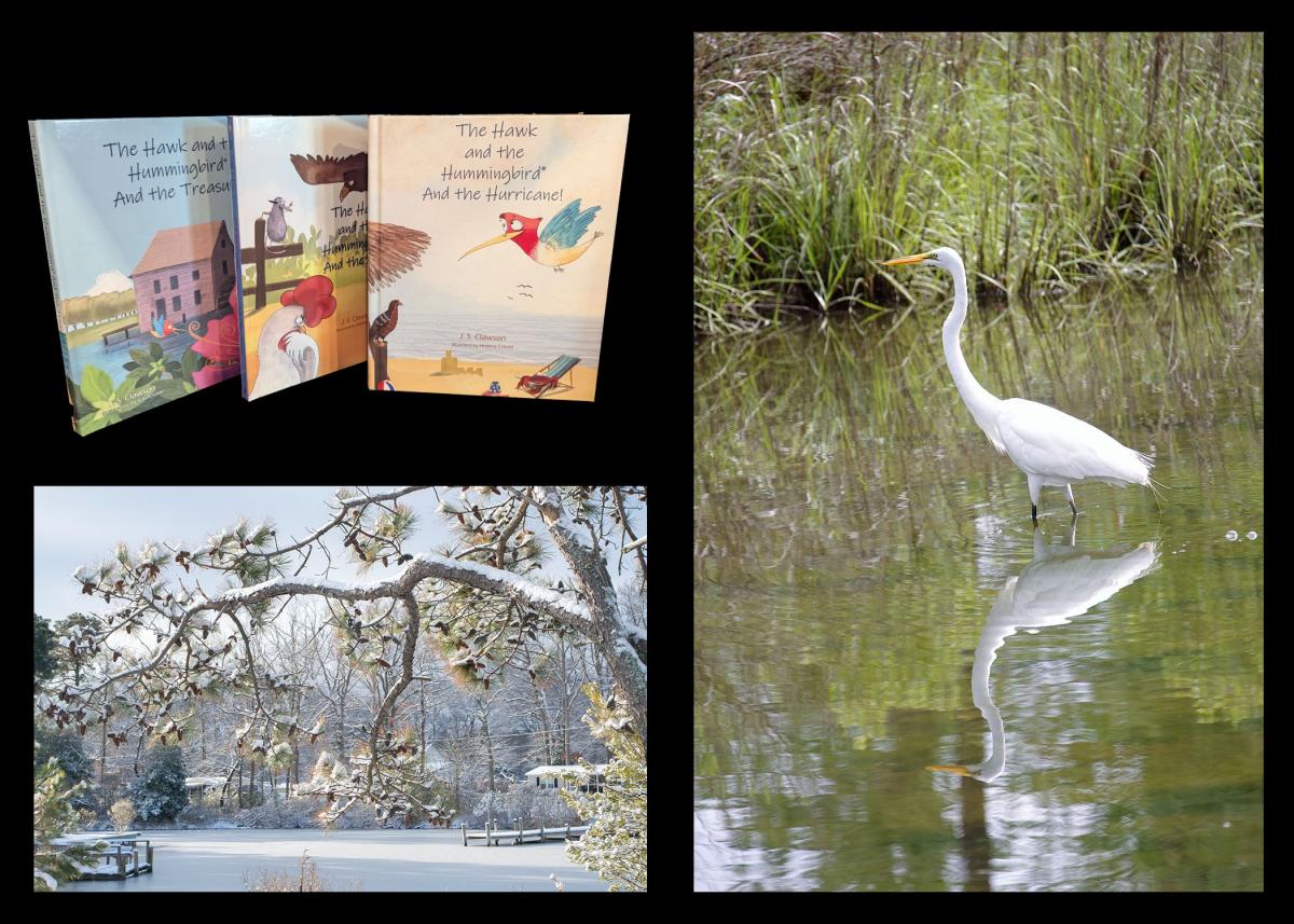 Mermaid Cove Productions books and art