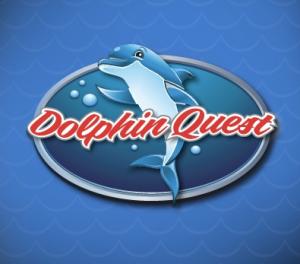 Dolphin Quest