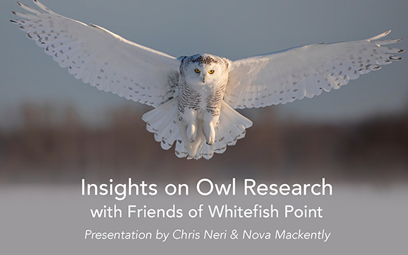 Insights on Owl Research with Friends of Whitefish Point cover picture