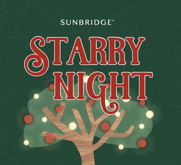 Starry Night Holiday Event at Sunbridge