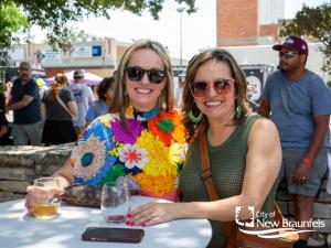 Art Haus Artist Application