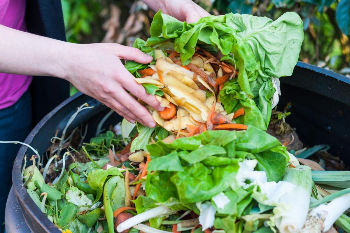 Reduce Food Waste at Home with A Fresh Start - 1:00PM cover picture