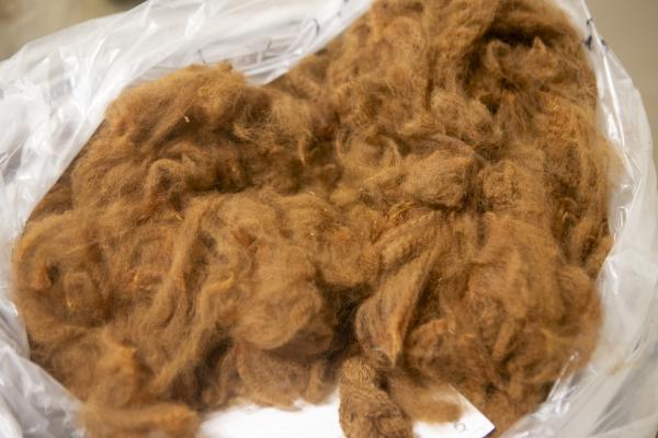 2026 Alpaca Fleece Show and Sale