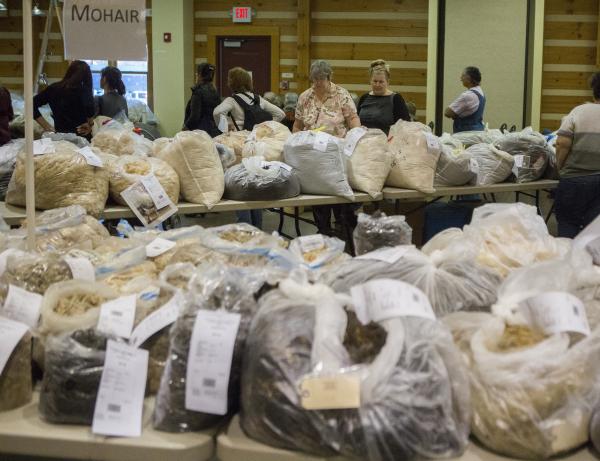 2026 Mohair Fleece Show and Sale