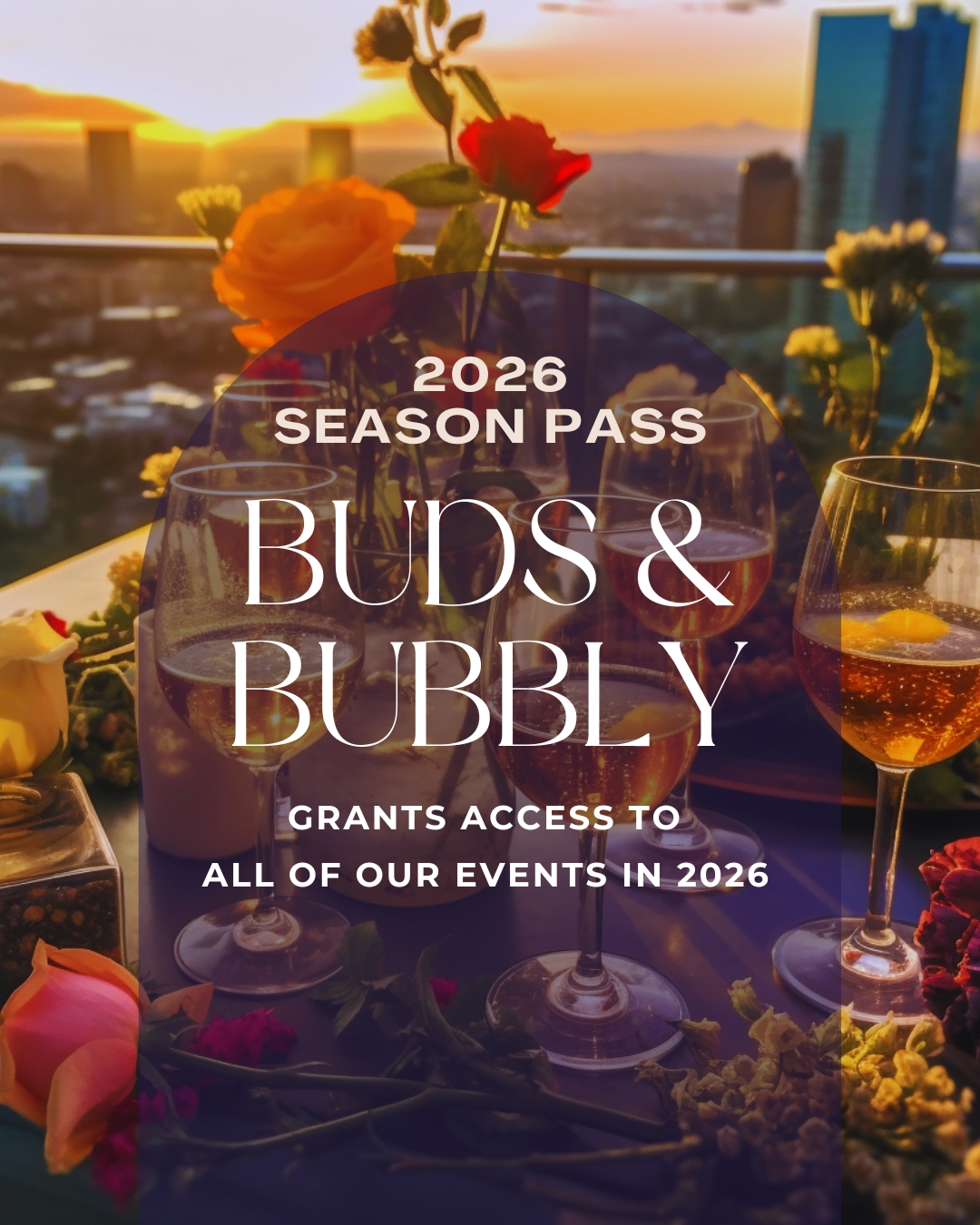 VIP Season Season Pass for One (1) 2026 cover picture