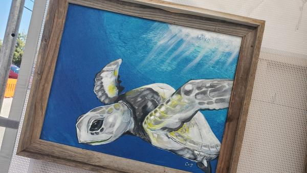 Fine Arts Application 2026