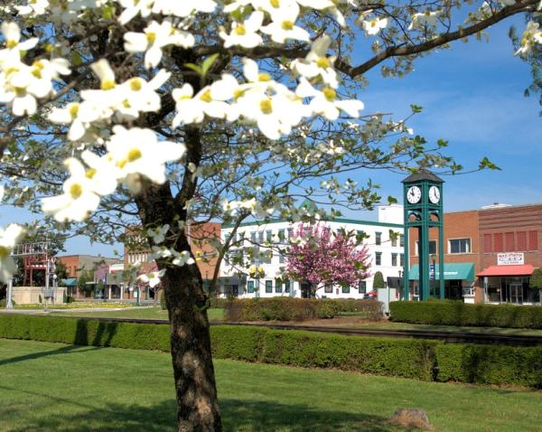 Downtown THOMASVILLE Business