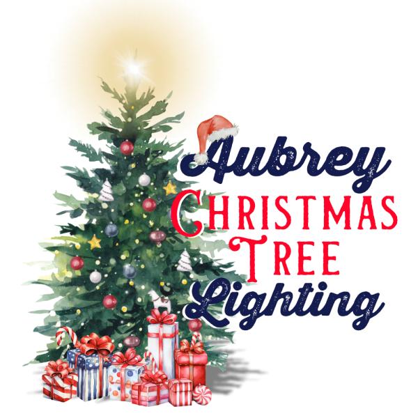 Christmas Tree Lighting Vendor