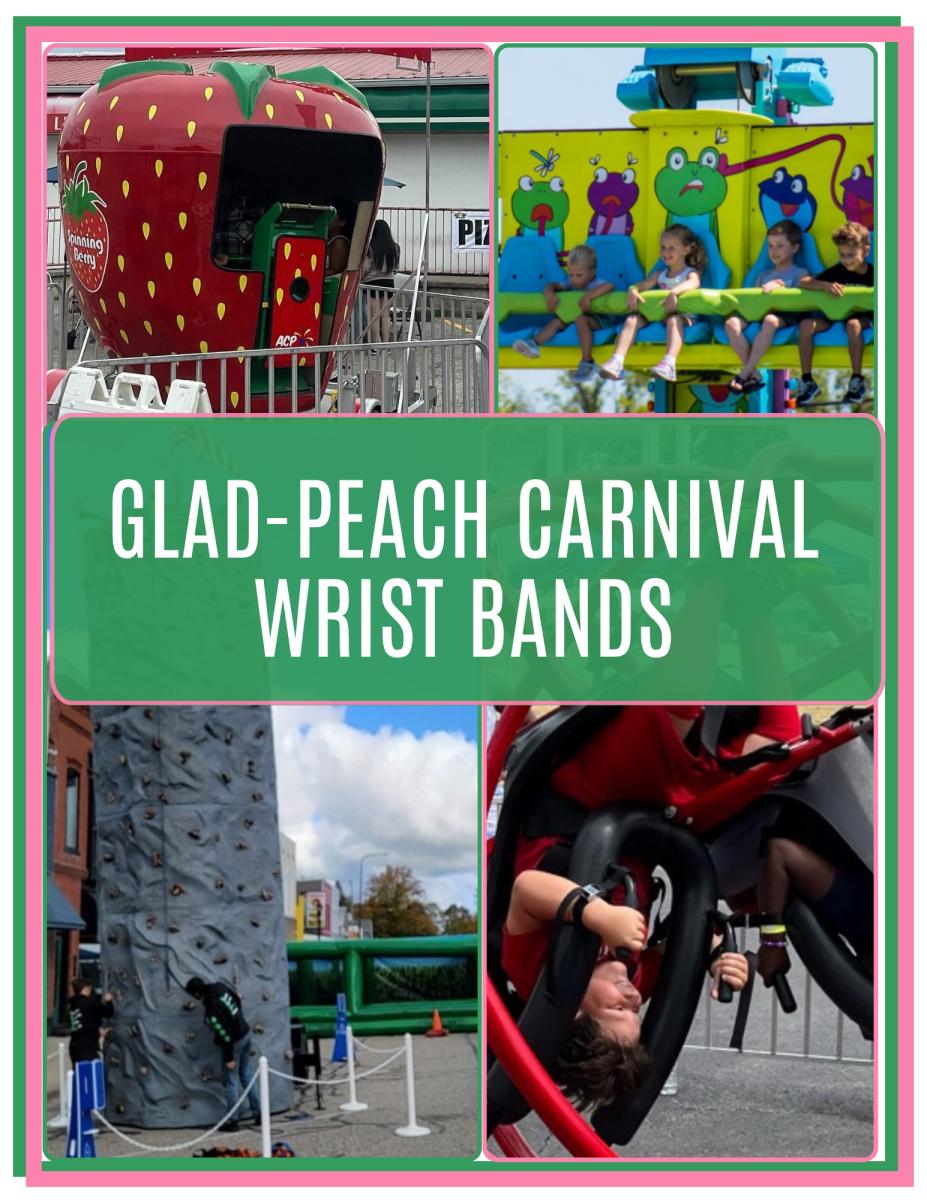 Carnival Wrist Band cover picture